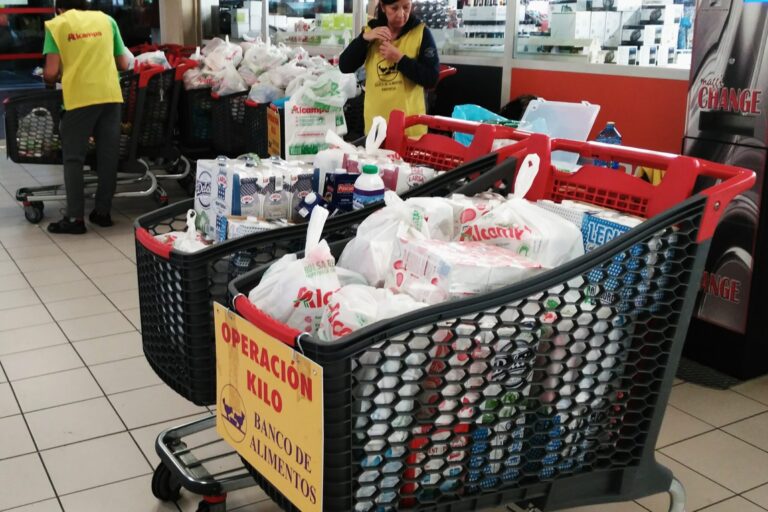 Alcampo Vigo voluntarios