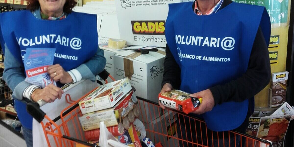 voluntarios Gadis Pontevedra 2017