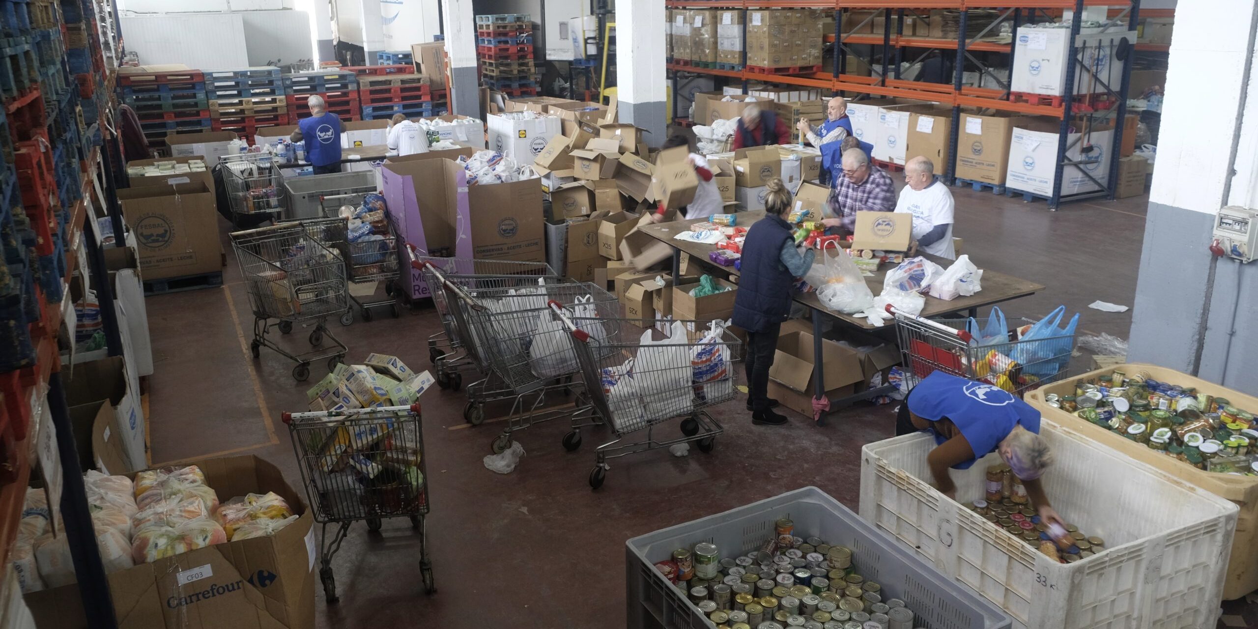 voluntarios clasificando GR2019 II