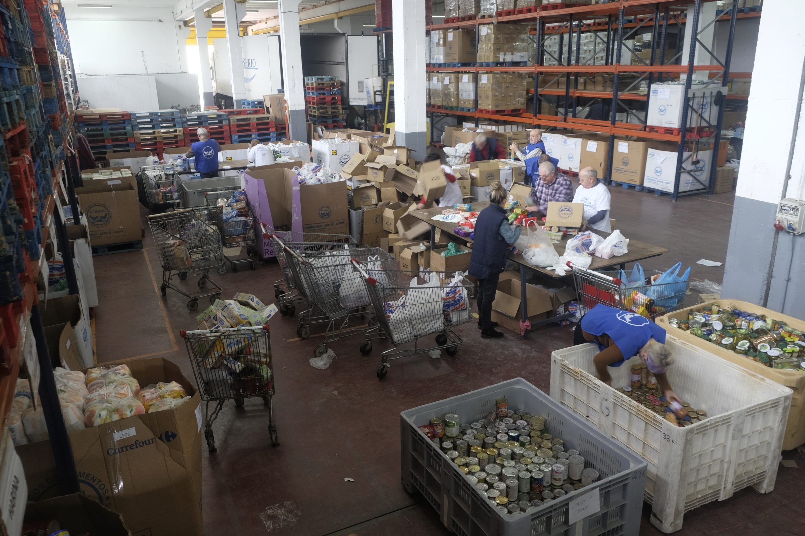 voluntarios clasificando GR2019 II