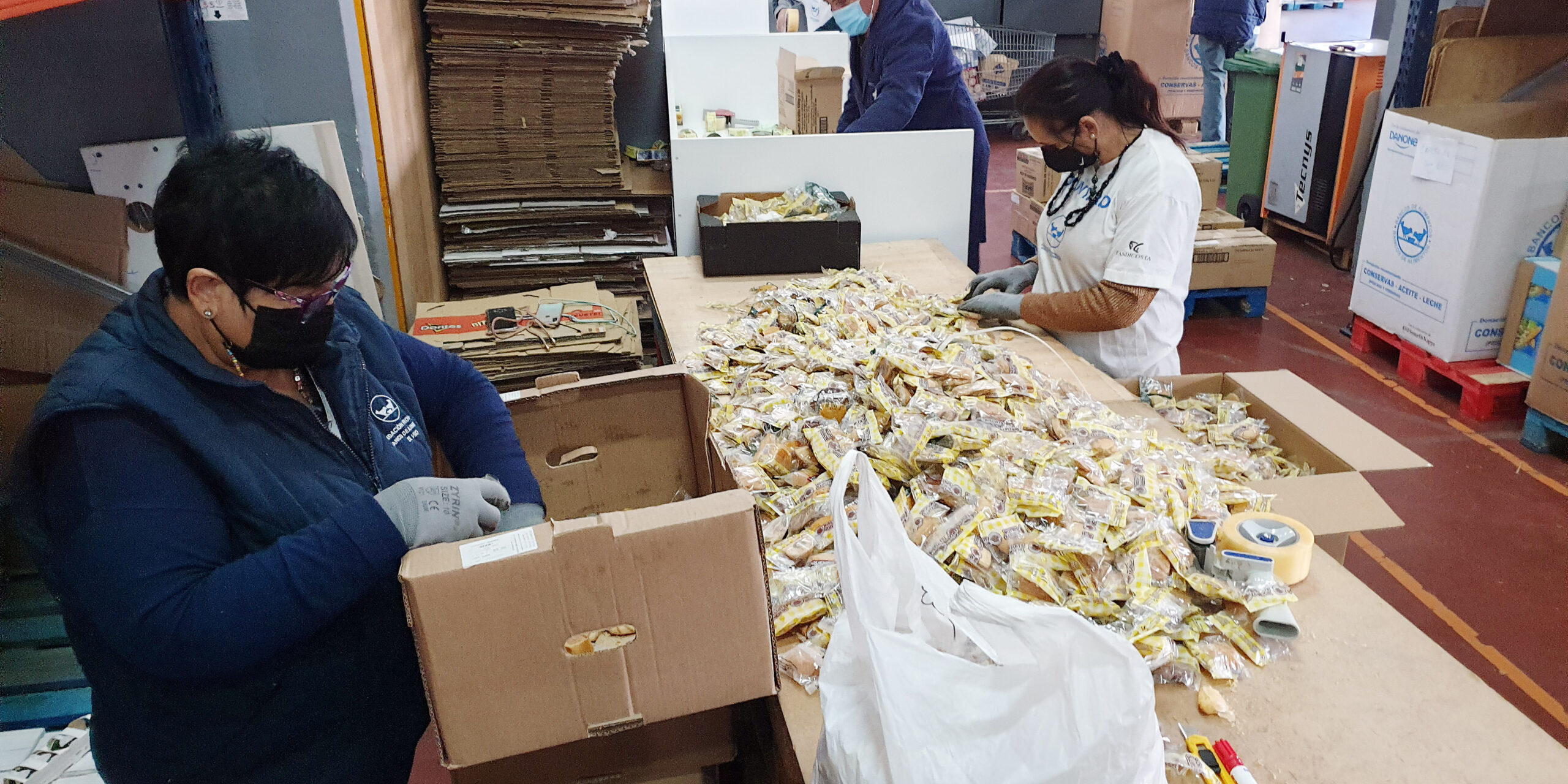 voluntari@s trabajando